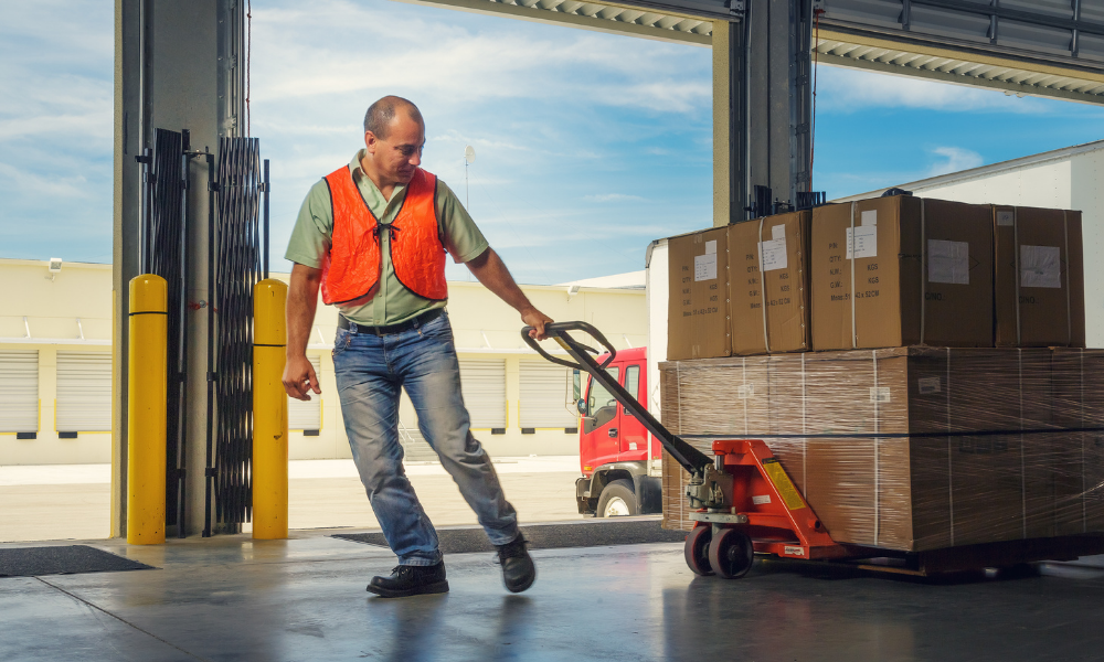 logistica